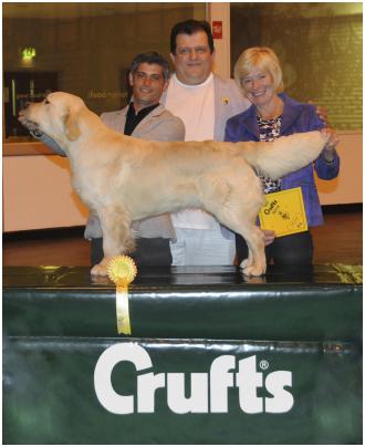 Third place - Crufts-2014