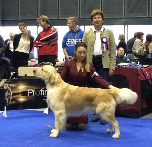 National Dog Show CAC (EDS connected) - 2014, Czech, Brno                                                                                                                                                                                                      