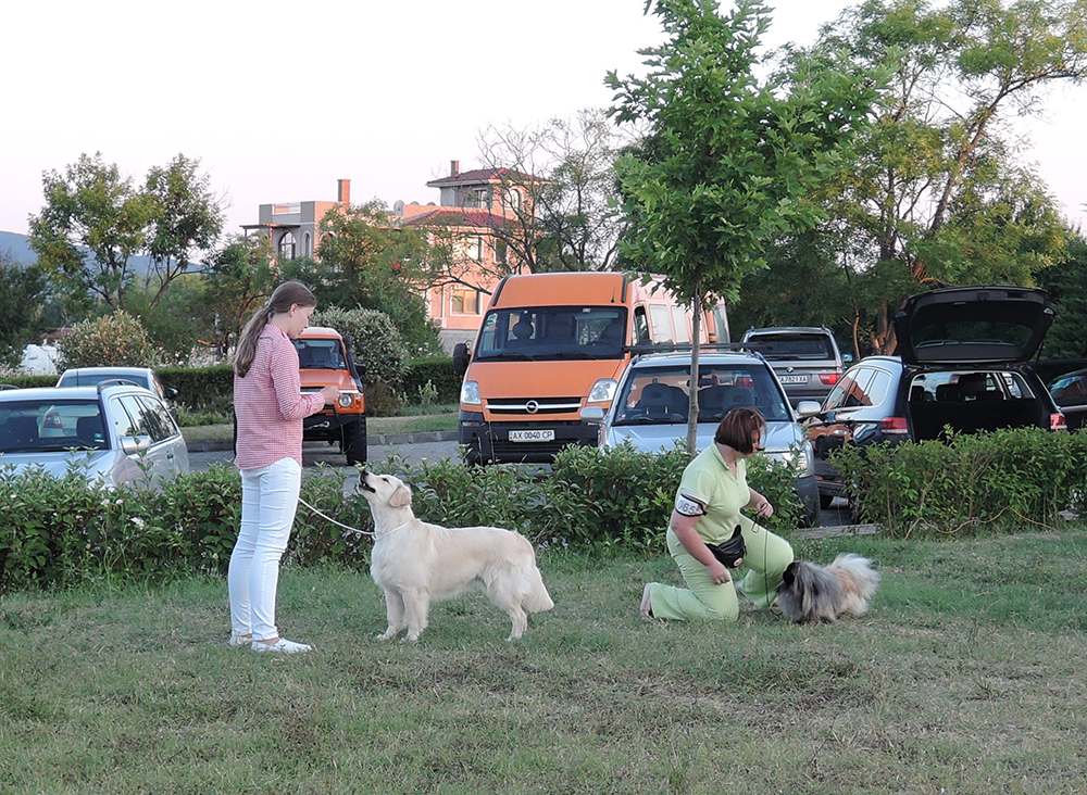 Internztional Dog Show, Sozopol, Bulgaria                                                                                                                                                                                                                      