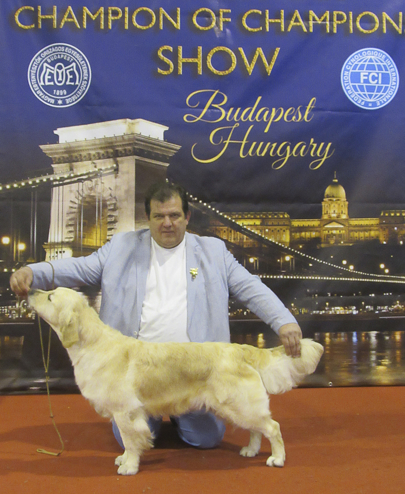 International Dog Show, Budapesht, Hungary                                                                                                                                                                                                                     